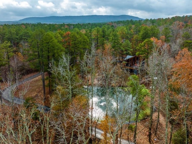 birds eye view of property featuring a mountain view