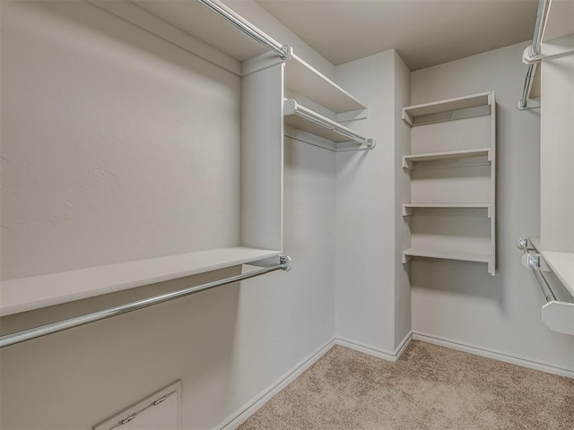 spacious closet featuring light colored carpet