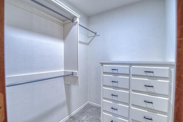 spacious closet with carpet floors