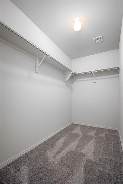 spacious closet featuring carpet floors