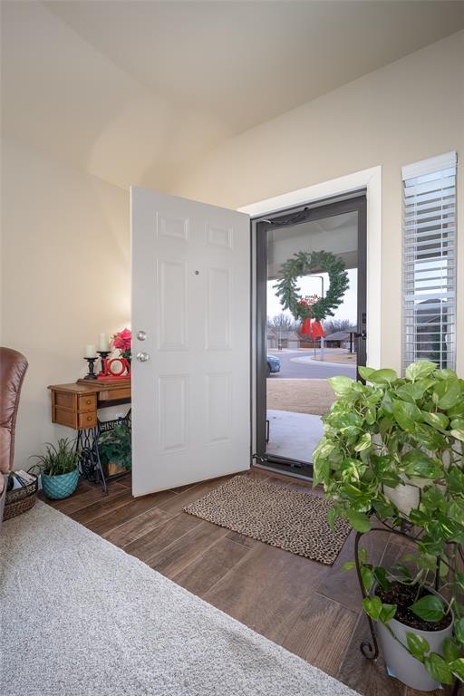 foyer entrance featuring dark hardwood / wood-style floors