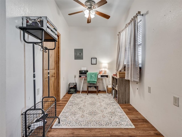 office area featuring light wood-type flooring, electric panel, and ceiling fan