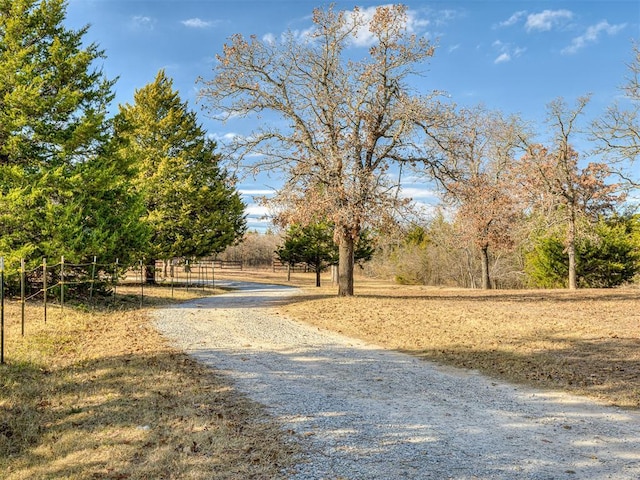 view of road with a rural view