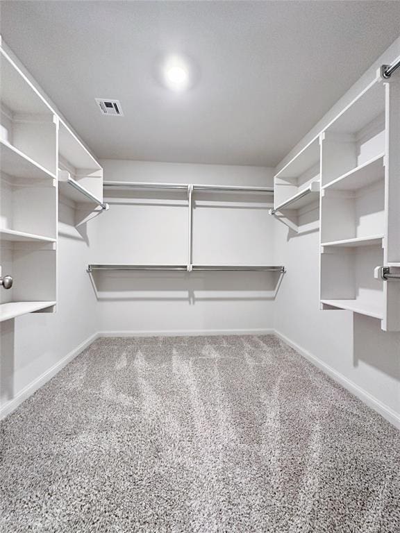 walk in closet featuring carpet floors