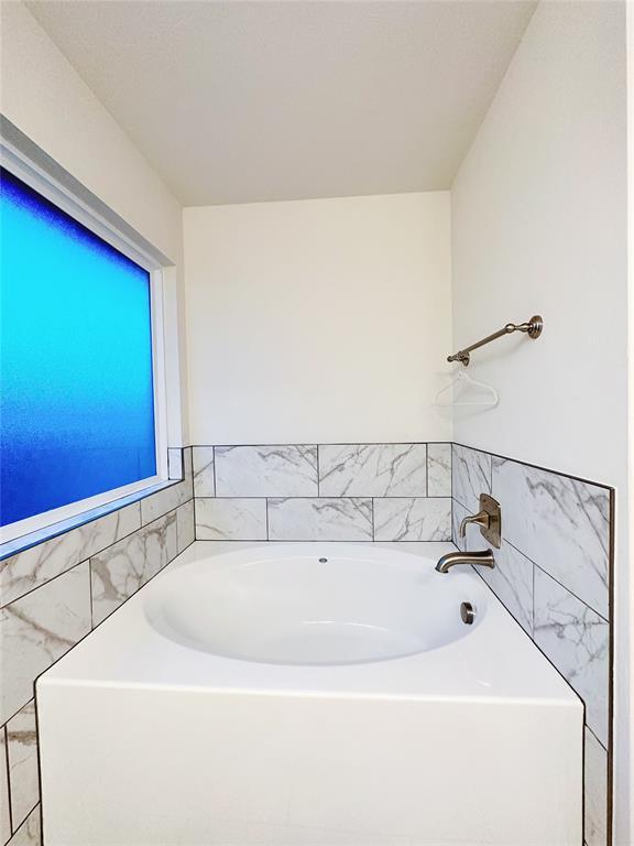 bathroom featuring a washtub