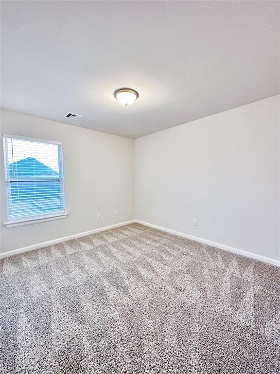 unfurnished room with carpet flooring