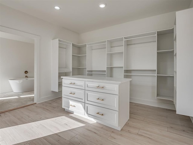 spacious closet featuring light hardwood / wood-style flooring