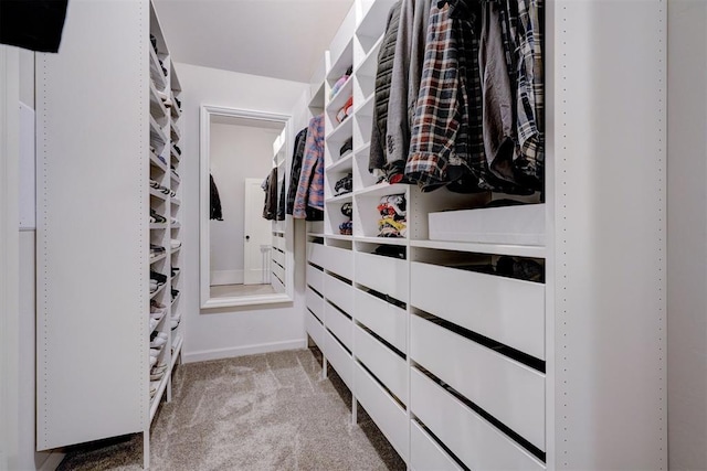 walk in closet with carpet