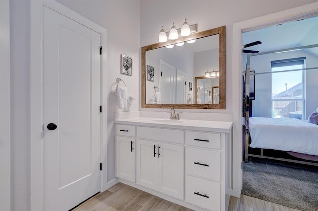 bathroom featuring hardwood / wood-style floors and vanity