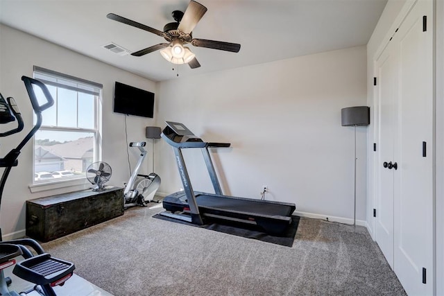 exercise room with carpet flooring, a wealth of natural light, and ceiling fan