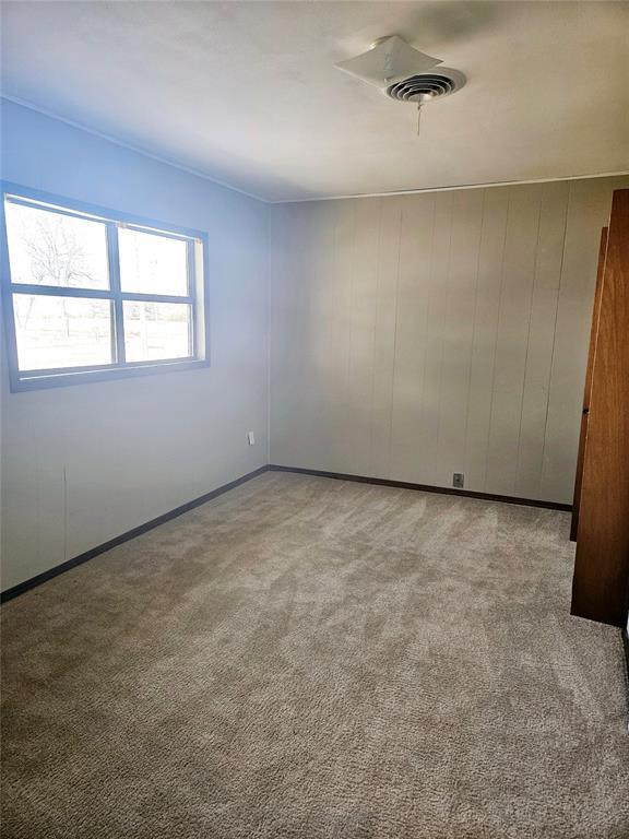 empty room featuring light carpet and wood walls