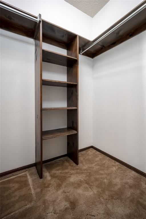 spacious closet featuring carpet floors