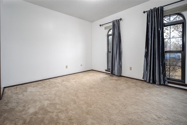 spare room featuring a textured ceiling, carpet floors, and a healthy amount of sunlight