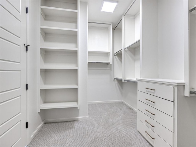 spacious closet with light carpet