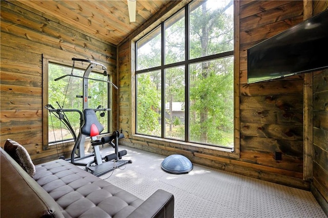 exercise room featuring wooden walls, carpet floors, and wood ceiling