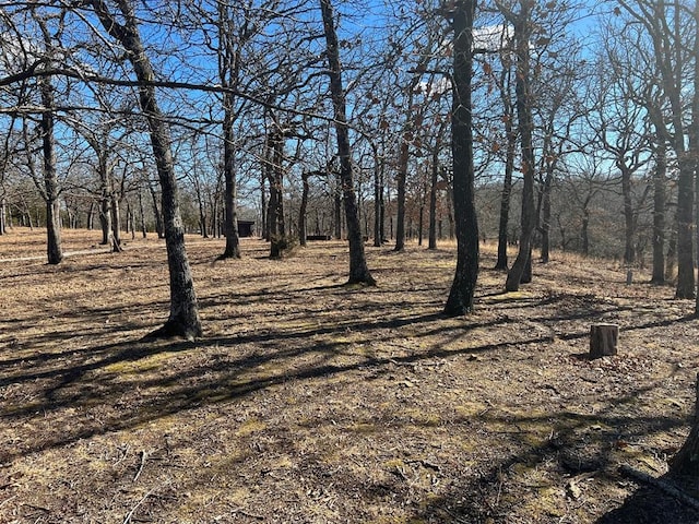 view of landscape