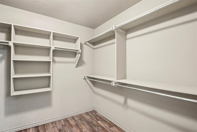 spacious closet with dark wood-type flooring