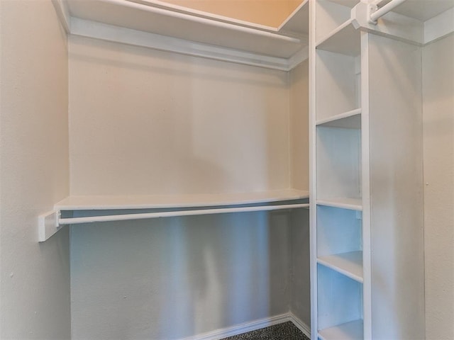 spacious closet featuring carpet floors