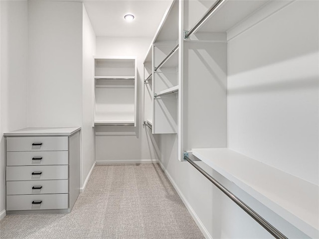 spacious closet featuring light carpet