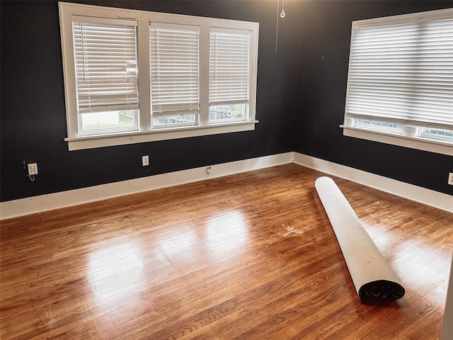 spare room with wood-type flooring