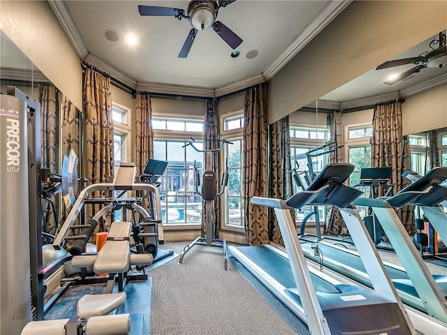 gym featuring carpet flooring, crown molding, and ceiling fan