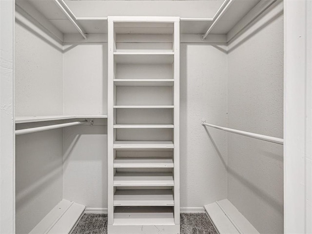 walk in closet featuring carpet