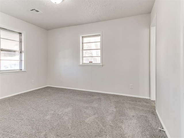 carpeted spare room featuring a textured ceiling and a wealth of natural light