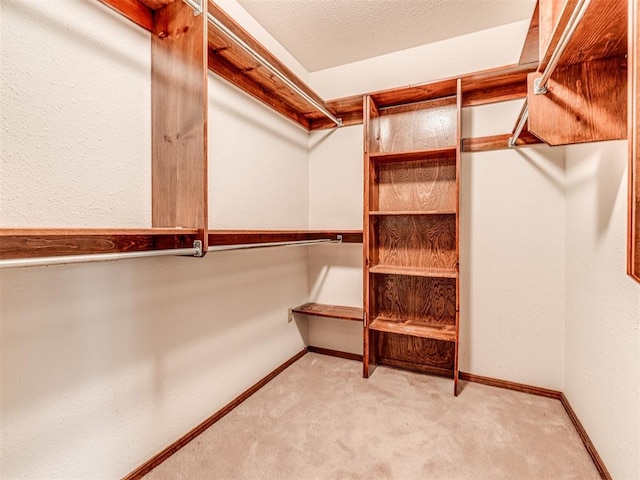 walk in closet featuring carpet flooring