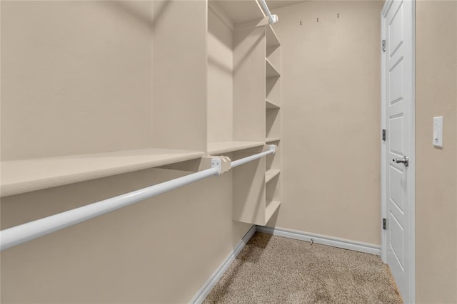 spacious closet with carpet flooring