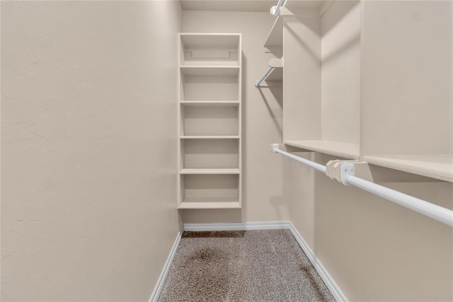 walk in closet with carpet