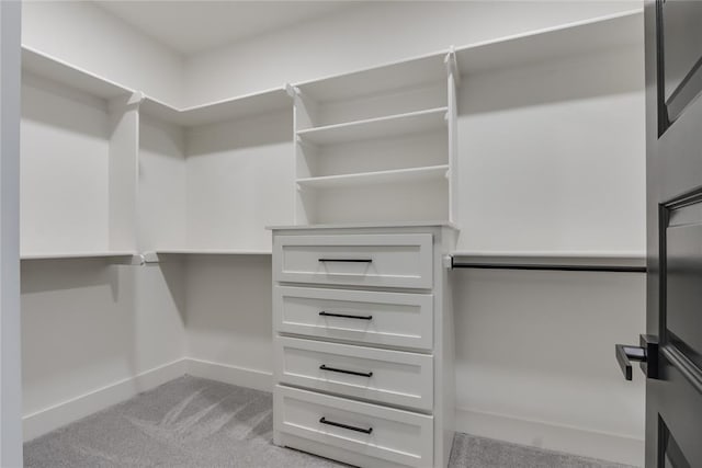 spacious closet featuring light colored carpet