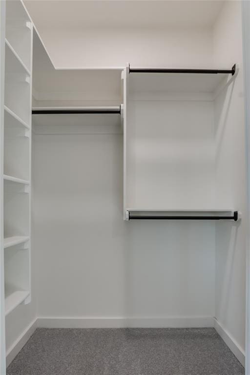 spacious closet with carpet flooring