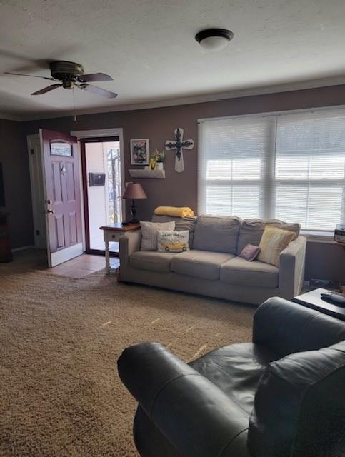 406 Winona, Lindsay, OK 73052 - photo 6