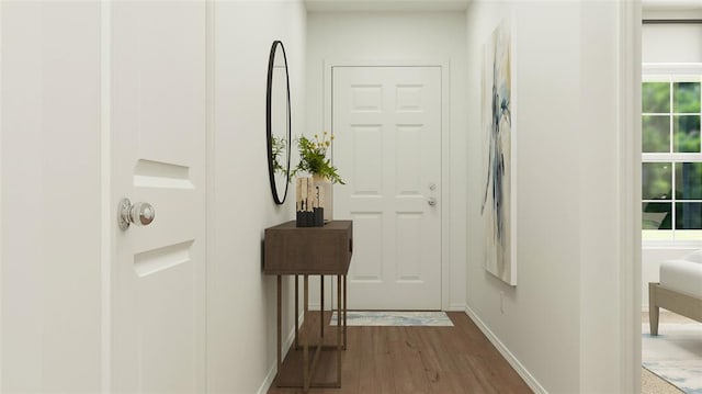 hallway with hardwood / wood-style flooring and plenty of natural light