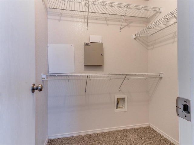 spacious closet featuring carpet floors