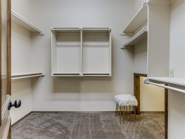 spacious closet with carpet floors