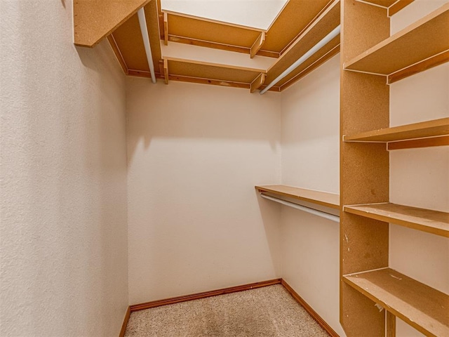 walk in closet with carpet