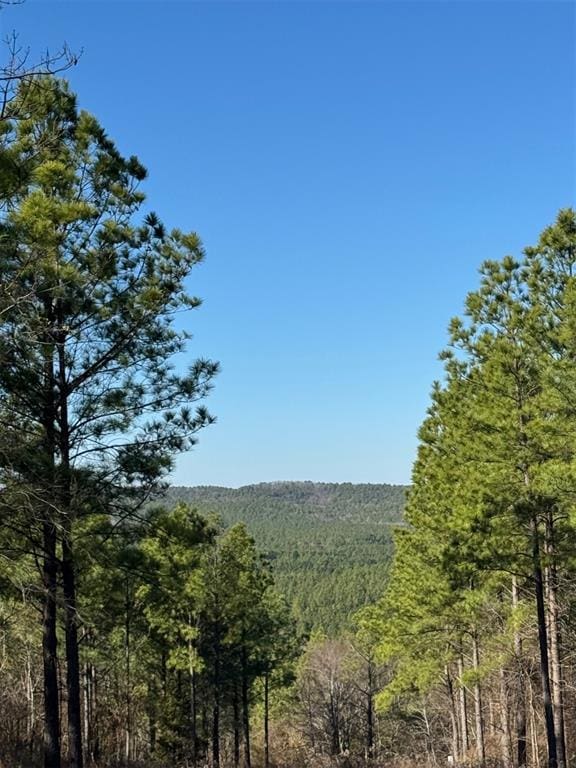 85 Timber Holler Trl, Broken Bow OK, 74728 land for sale