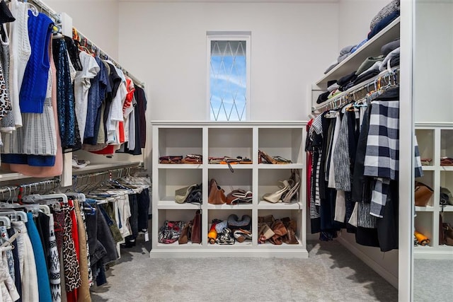 walk in closet with carpet flooring