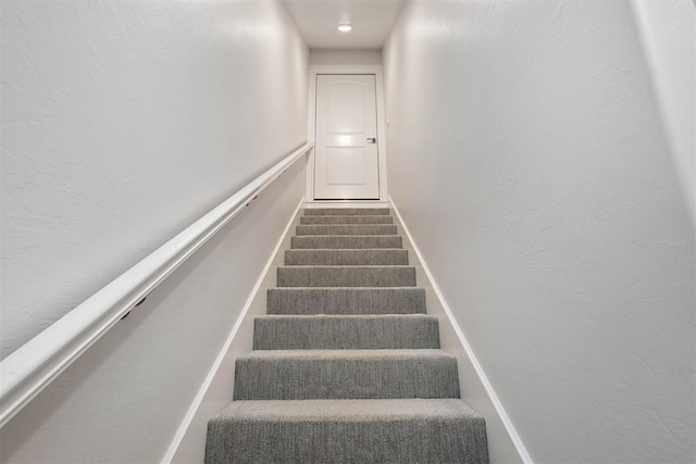 stairway featuring carpet floors