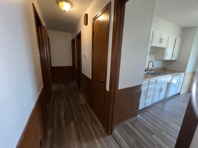 hall featuring dark hardwood / wood-style flooring and sink