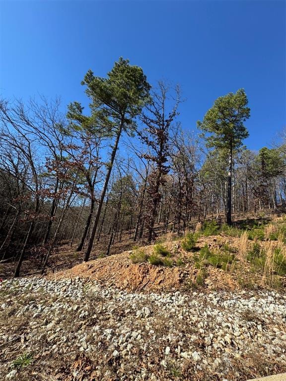 253 Western Pine Trl, Broken Bow OK, 74728 land for sale