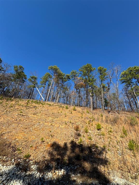 253 Western Pine Trl, Broken Bow, OK 74728