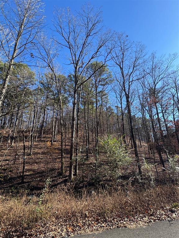 158 Western Maple Trl, Broken Bow, OK 74728