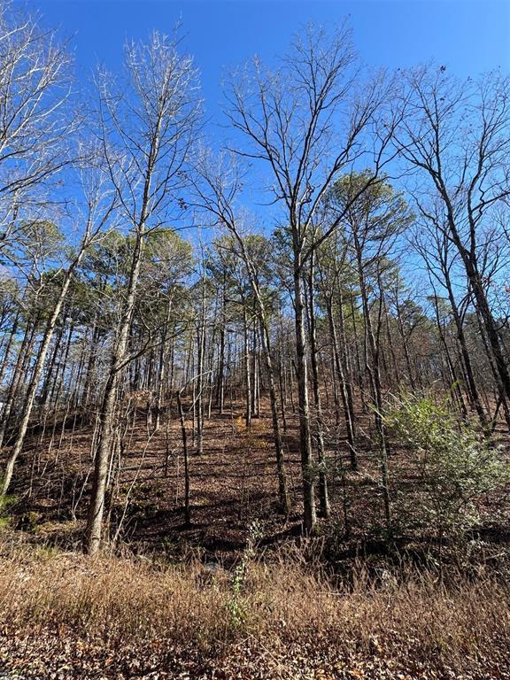 158 Western Maple Trl, Broken Bow, OK 74728
