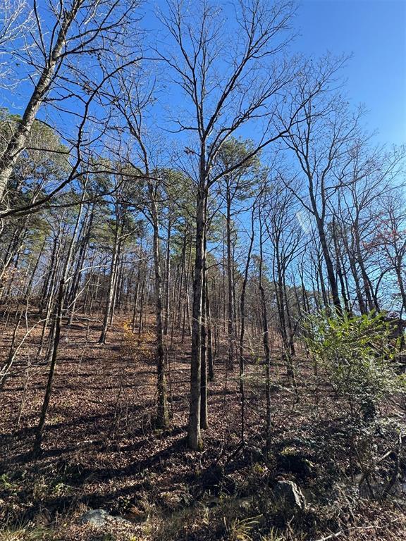 158 Western Maple Trl, Broken Bow, OK 74728