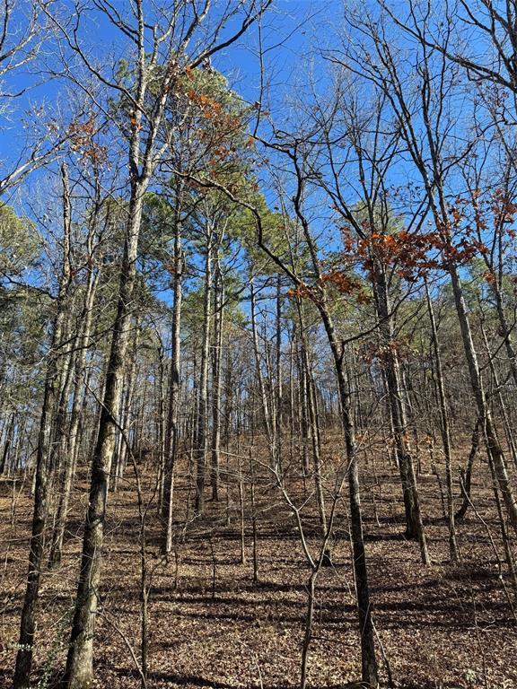 158 Western Maple Trl, Broken Bow, OK 74728