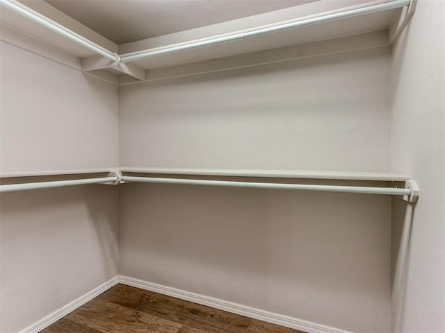 walk in closet featuring hardwood / wood-style floors