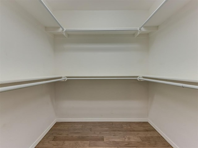 spacious closet with hardwood / wood-style flooring