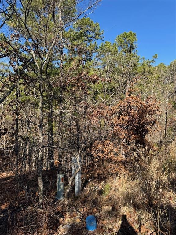 43 Western Maple Ct, Broken Bow, OK 74728